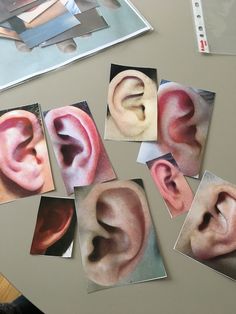 several pictures of different types of ear on a table