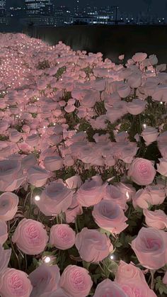 many pink flowers are lit up in the dark night sky with buildings in the background