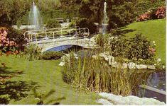 a bridge over a small pond in the middle of a lush green park with flowers and trees