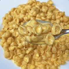 a spoon full of macaroni and cheese on a plate