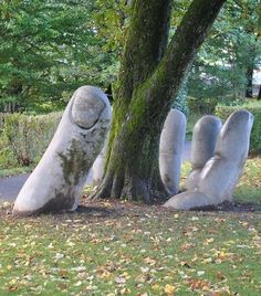 two large rocks sitting in the grass next to a tree with their faces on them