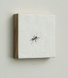 a bug is sitting on top of a piece of white paper that has been placed on the wall