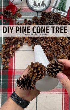 someone is holding pine cones in their hand with the words diy pine cone tree