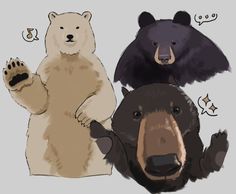 three bears are standing next to each other with their paws in the air and one bear has its paw raised