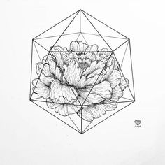 a black and white drawing of a flower in a hexagonal frame on paper