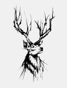 a black and white drawing of a deer's head