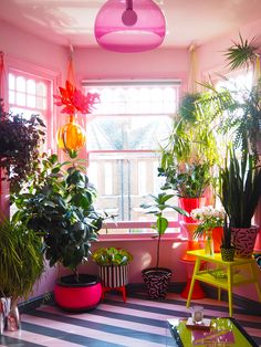 a room filled with lots of potted plants