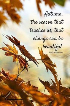 autumn, the season that teaches us, that change can be beautiful fall leaves with quote