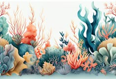 an underwater scene with corals, seaweed and other marine life on white background