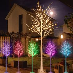 four lighted trees in the yard at night with no leaves on them, all lit up