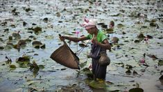 a woman standing in the water holding a basket