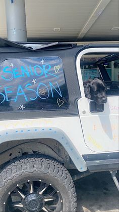 a black dog sitting in the drivers seat of a white truck with writing on it