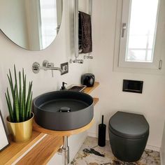 a bathroom with a round sink, mirror and potted plant on the counter top