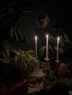 three candles are lit on a table with potted plants