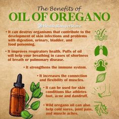 Health Benefits Of Oregano Oil, Oil Of Oregano Benefits How To Use, Lung Support, Essential Oil Blends Recipes