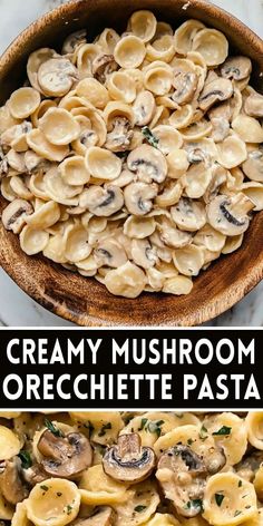 🍄 Creamy Mushroom Orecchiette Pasta is a rich and comforting dish! With sautéed mushrooms and a velvety cream sauce, this pasta is perfect for cozy dinners. It’s quick to prepare and works well for family meals or date nights. 💡 Save this pin and enjoy creamy pasta goodness tonight! #MushroomPasta #OrecchiettePasta #ComfortFood #PastaRecipes #EasyDinnerIdeas 🍝🍄 Farfalline Pasta Recipes, Orcchettie Pasta Recipes, Mushroom Bowtie Pasta, Mushroom Cream Sauce Pasta, Ricotta Pasta Sauce, Orecchiette Pasta Recipes, Orecchiette Recipes, Cream Sauce Pasta, Cozy Dinners