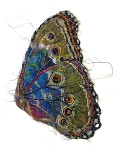 a close up of a colorful butterfly on a white background with lots of hair in it's wings