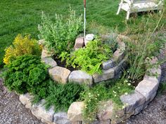 a garden with rocks and plants around it in the middle of some grass, next to a bench