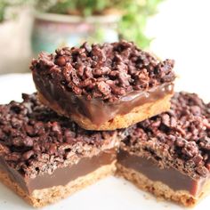 three pieces of chocolate covered dessert sitting on top of a white plate next to a potted plant