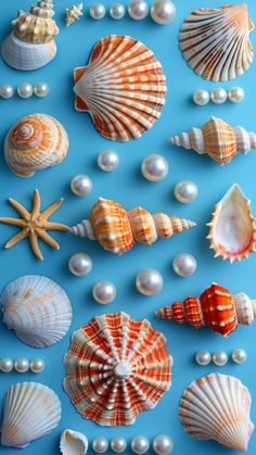 several seashells and pearls on a blue background