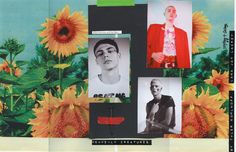 a collage of photos with sunflowers and men's faces on them