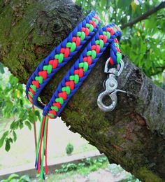 a pair of scissors on a tree branch with multicolored rope and metal hook