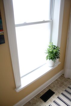 a potted plant sitting on top of a window sill next to a rug