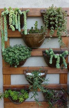 a wall mounted planter filled with lots of plants