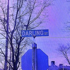 a blue stop sign sitting next to a tall tree on top of a street pole