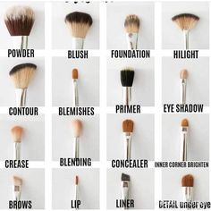 Types Of Makeup Brushes, Makeup Brush Uses, Bentuk Alis, Make Up Foundation, Brush Guide, Mekap Mata