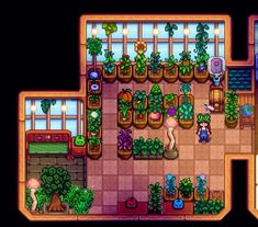 an overhead view of a plant shop in the legend of zeolim 2 game