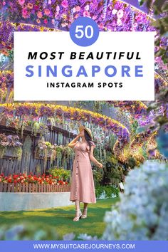 the most beautiful singapore instagram spots with text overlay that reads, 50 most beautiful singapore instagram spots