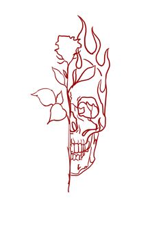 a drawing of a skull with a rose in its mouth