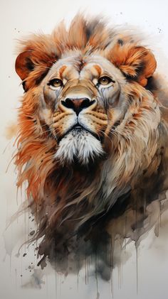 Lion Looking Up, Lion Growling, Lion Painting Acrylic, Lion Facts, Lion Eyes, Social Structure, Lion Sketch, Lion Portrait