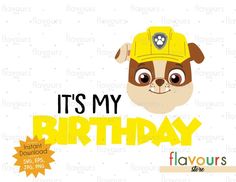 a dog wearing a yellow hat with the words it's my birthday