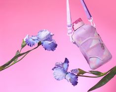 two purple flowers and a pink purse on a pink background