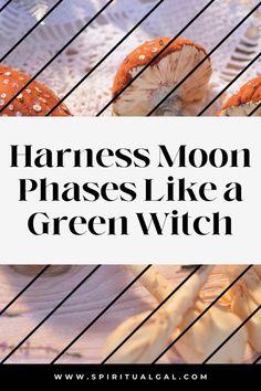 the words harness moon phases like a green witch on top of an image of mushrooms