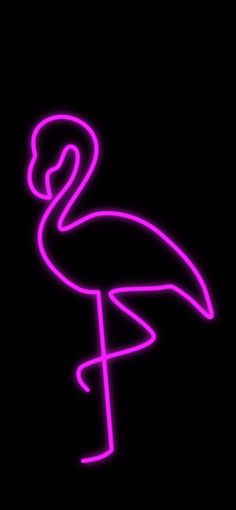 a neon pink flamingo standing in the dark