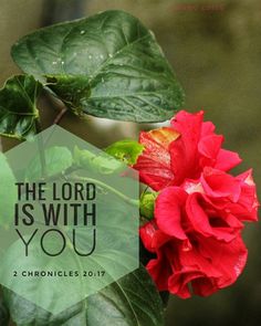 a red flower with the words, the lord is with you