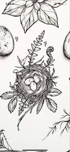 a drawing of a bird's nest and leaves