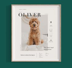 a dog sitting on top of a bed in front of a magazine cover with the word'olliver '