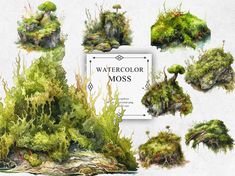 watercolor mosss and plants are shown in this image