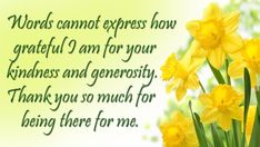 yellow daffodils in front of a green background with the words, words cannot express how grateful i am for your kindness