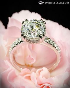 a diamond ring sitting on top of a pink flower