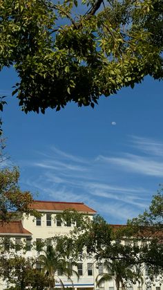 a large white building with trees in the foreground and a blue sky behind it