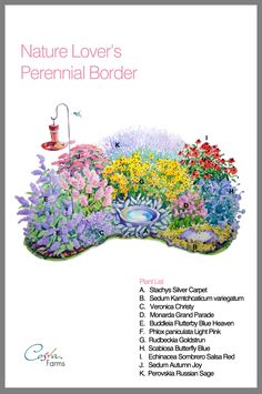 the cover of nature lover's perennial border