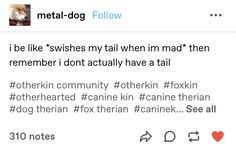 a tweet with an image of a dog on it