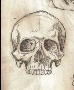 a drawing of a human skull with one eye open and the other half drawn in pencil