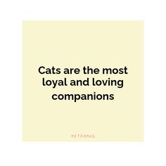 the words cats are the most loyal and loving companions on a white background with black lettering