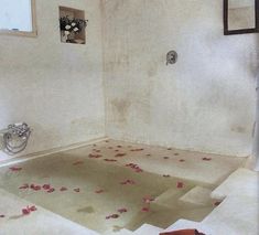 an empty bathroom with rose petals on the floor